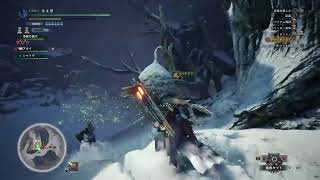 【MH:ib】猿とかブラキとか