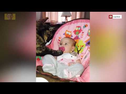 Angry cat attacks baby