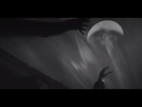 ZOLTAN FREITAG feat. ANOMYS  - The End of the Times