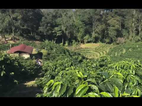 Farm Finder - Santa Bárbara Honduras thumbnail