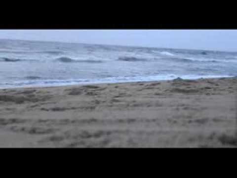 Dinesh Koushika Pepsi AAD