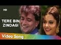 Tere Bin Zindagi HD Heeralal Pannalal 1999 Mithun Chakraborty Bollywood Romantic Song