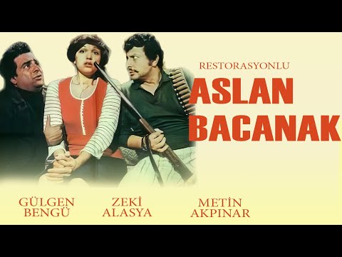 Aslan Bacanak (1977) - HD - Zeki Alasya & Metin Akpınar