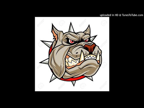 DJ PERSE - MIX LOS PERROS 2K20 👊🐶