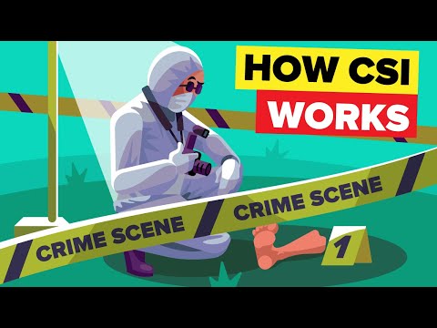 How Does Real Life CSI ACTUALLY Solve Murders?