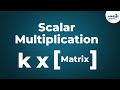 Matrices Scalar Multiplication Don T Memorise
