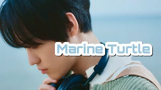 Download lagu 【 Marine Turtle (Korean Version) / NCT U 】 カナルビ・歌詞 mp3