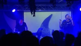 Neuroticfish  - They re coming to take me away (Live in Hamburg / Markthalle 11.02.2017)