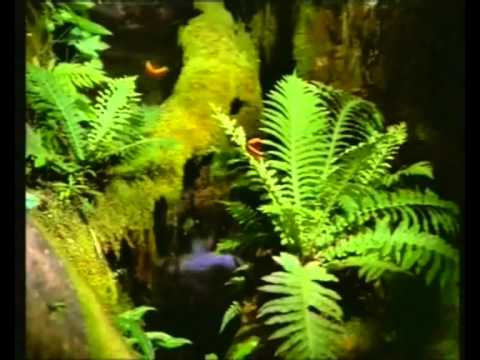 KUDDUSİ HZ BİR KERAMETİ