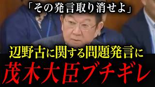【※神回】国民民主議員が辺野古事故の質疑で不適切発言…茂木大臣の鋭すぎる一撃で即平謝り！イチャモンが完全に返り討ちに遭った瞬間【高市政権最新】