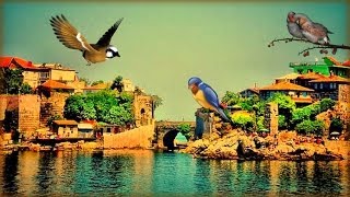 ❀ A Small Mediterranean Town Wakes Up - All Sounds ©