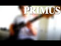 Primus - Greet the Sacred Cow [Bass Cover]