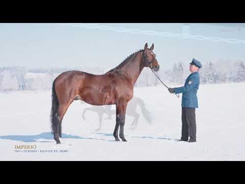 Imperio v. Connery - Balfour - Primo