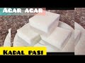 தேங்காய் பால் agar agar recipe//how to make coconut milk agar agar recipe in tamil