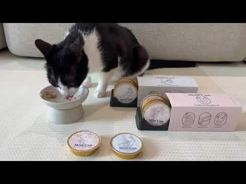 애니먼 동물병원 처방식 저알러지 애니캔 닭&연어 30gX6