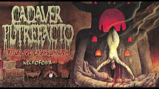 Music video thumbnail preview for CADAVER PUTREFACTO - Necrofobia by Cadaver Putrefacto