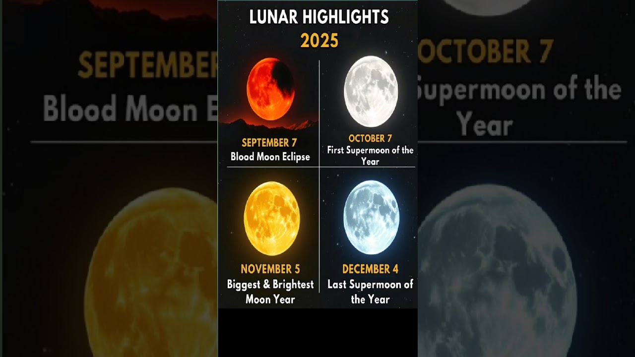 Blood Moon 2025,Super Moon 2025,Biggest & Brightest Moon of2025,7 September BloodMoon Eclipse#shorts