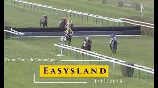 Easysland by Gentlewave Winner of 9 races including: The Listed Cross Country Chase’s at Compiegne and Pau. The Glenfarclas Cross Country Chase at the Cheltenham Festival, 2020, beating Tiger Roll by 17 lengths.