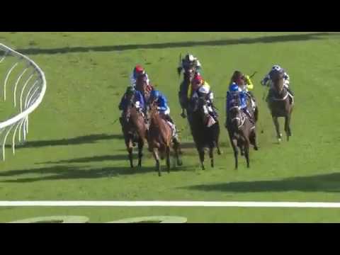 2017 Longines Queen Elizabeth Stakes   Winx