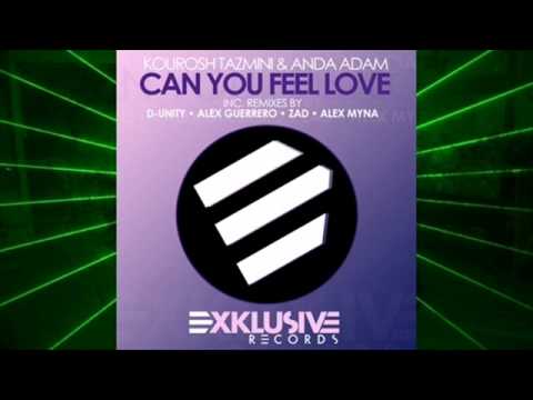 Anda Adam feat Kourosh Tazmini   - Can u feel love (extended mix).wmv