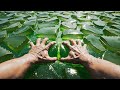 Which Crazy Aloe Vera Ocean Would You Dive Into Satisfying AI ASMR
