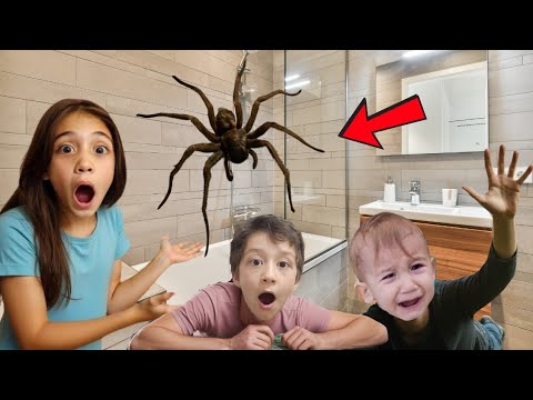 Eylül Poyraz We Moved to a New House. Oh My God!! There's a Giant Spider in the House, Tufan Was ...