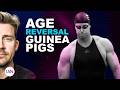 The Enhanced Games Wild Age Reversal Breakthrough Potential