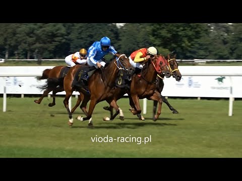 Gon. II - 21.08.2021 - Zarine (Zarak - Myrine)