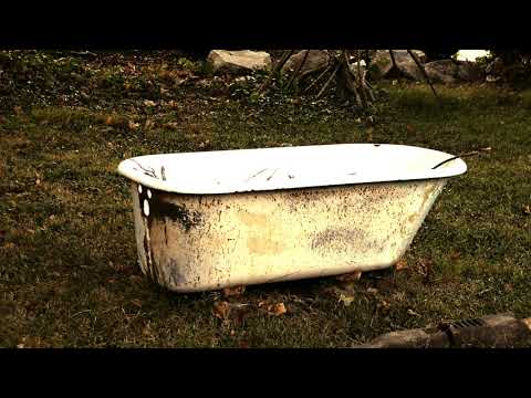 Psilocybin x Michael Wilbur