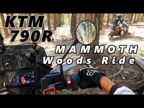 KTM 790R Woods Ride - Forest Trails - 790 Adventure Off Road