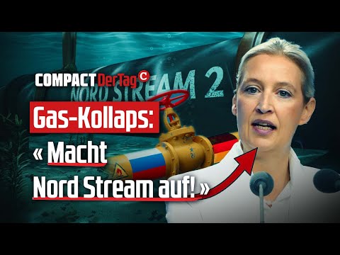 Gas collapse: "Open Nord Stream!"💥