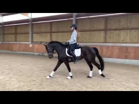 Finely du Hans 5 ans par Finest x Sandro Hit