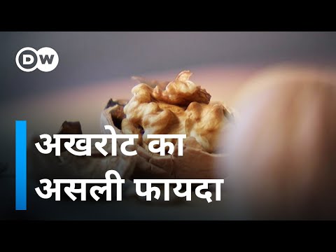 download lagu mp3 mp4 Dw Hindi, download mp3 Dw Hindi free download mp3, download mp3 Dw Hindi