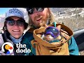 Cat Loves Skiing So Much He Has His Own Ski Pass The Dodo