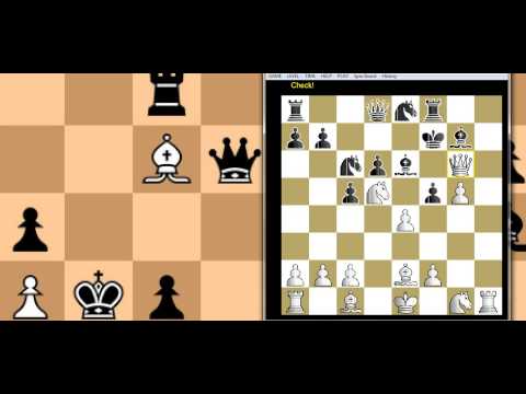 Najbolja partija sa žrtvom figure - WENZE vs DONNER -  Pirceva odbrana  # 331