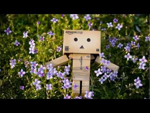 Danbo around the world - Video by Marlon Baker