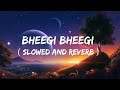 bheegi bheegi palkon mein aks tera rehta hai ( Slowed + Reverb ) song ।। lofi song #lofisong #slowed