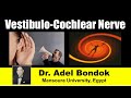 The Vestibulo Cochlear Nerve Dr Adel Bondok