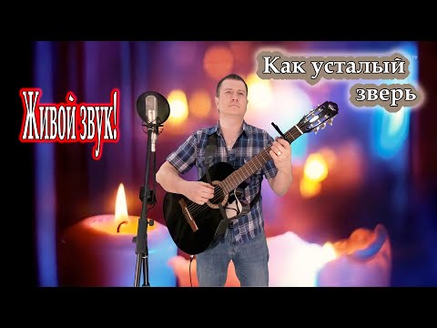 исп. Владимир Need Soul Кузьмин - Как усталый зверь (cover version)