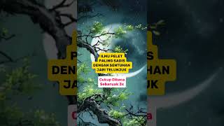 Download lagu ILMU PELET PALING GANAS DENGAN SENTUHAN JATI TUBUH mp3 Download lagu ILMU PELET PALING GANAS DENGAN SENTUHAN JATI TUBUH mp3