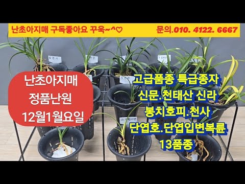 유튜브 썸네일