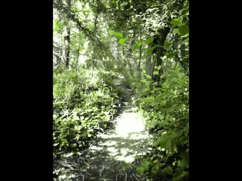 Alexander Dreyschock Toccata