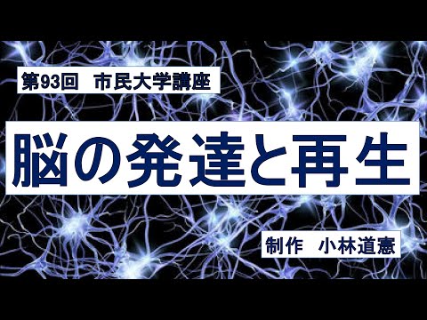地域科学課程 脳の発達と再生