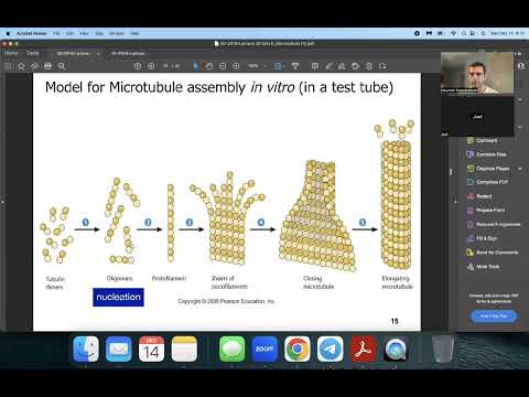UBC BIOL200: Microtubules