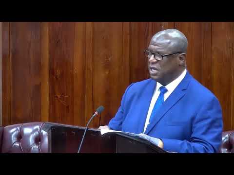 Stephenson King Addresses Parliament Regarding Choc Bridge Situation