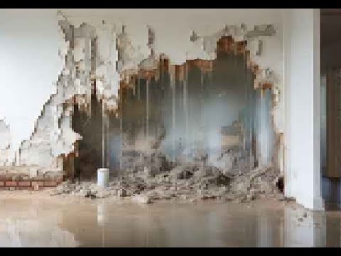 MEM Trockene Wand + 1x5 Liter Defender