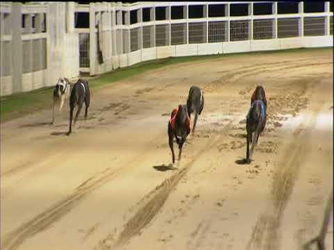 2017 COLOSSUS BETS TV TROPHY FINAL - T5 GOLDIES HOTSPUR