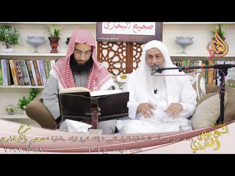  النور الساري ـ البخاري (29) ” المعاصي من أمر الجاهلية  ” كتاب الإيمان   11 5 2022 