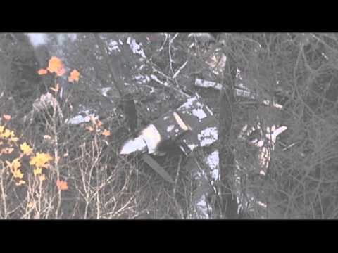 US Senator's Son Killed in Plane Crash