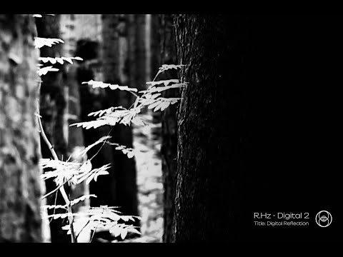 R.Hz - Digital 2